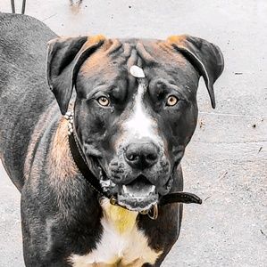 Meet your Posher, Craig